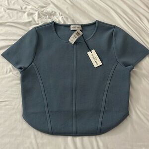 Aritzia Blue Sculpt Knit Bustier Top